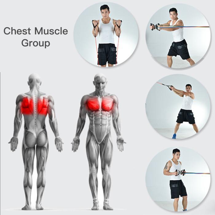 Resistance Bands 11pc Set